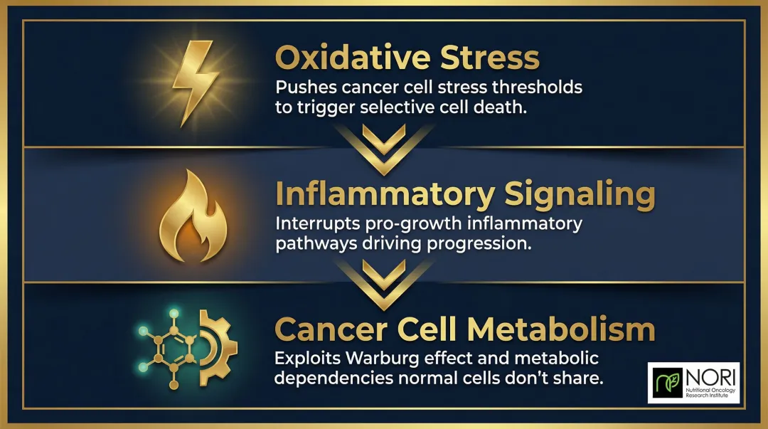 NORI Protocol three-target cancer vulnerability framework oxidative stress inflammation metabolism