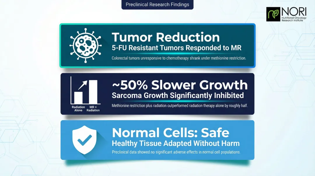 Three key preclinical methionine restriction cancer research findings comparison infographic