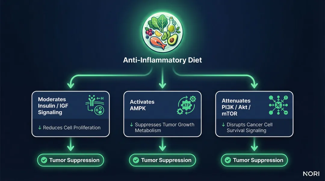 Three biological pathways linking anti-inflammatory diet to kidney cancer tumor suppression