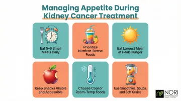 Six evidence-based strategies to manage appetite loss during kidney cancer care