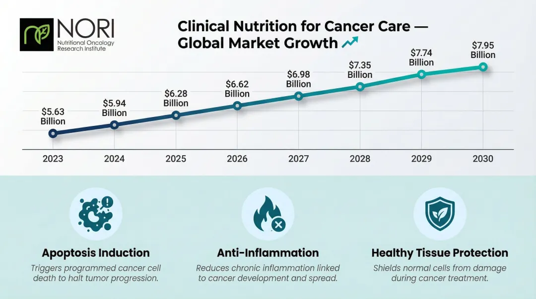 Cancer nutraceutical market growth projection from 2023 to 2030 with key mechanisms