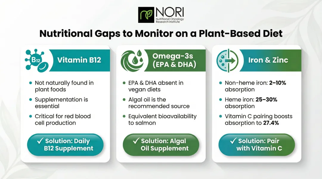 Key nutritional gaps for plant-based cancer patients B12 omega-3 iron and zinc guide