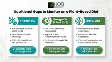 Key nutritional gaps for plant-based cancer patients B12 omega-3 iron and zinc guide