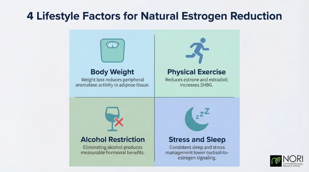 Four lifestyle factors that naturally reduce circulating estrogen levels in breast cancer