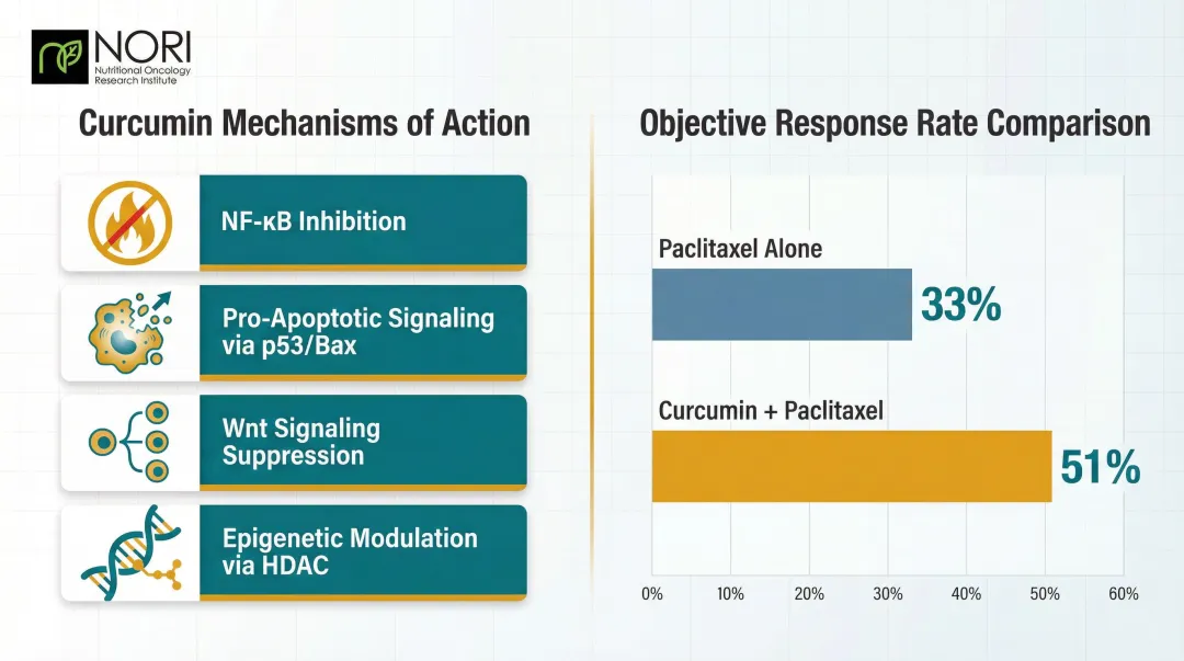 Curcumin anti-cancer mechanisms and paclitaxel clinical response rate comparison