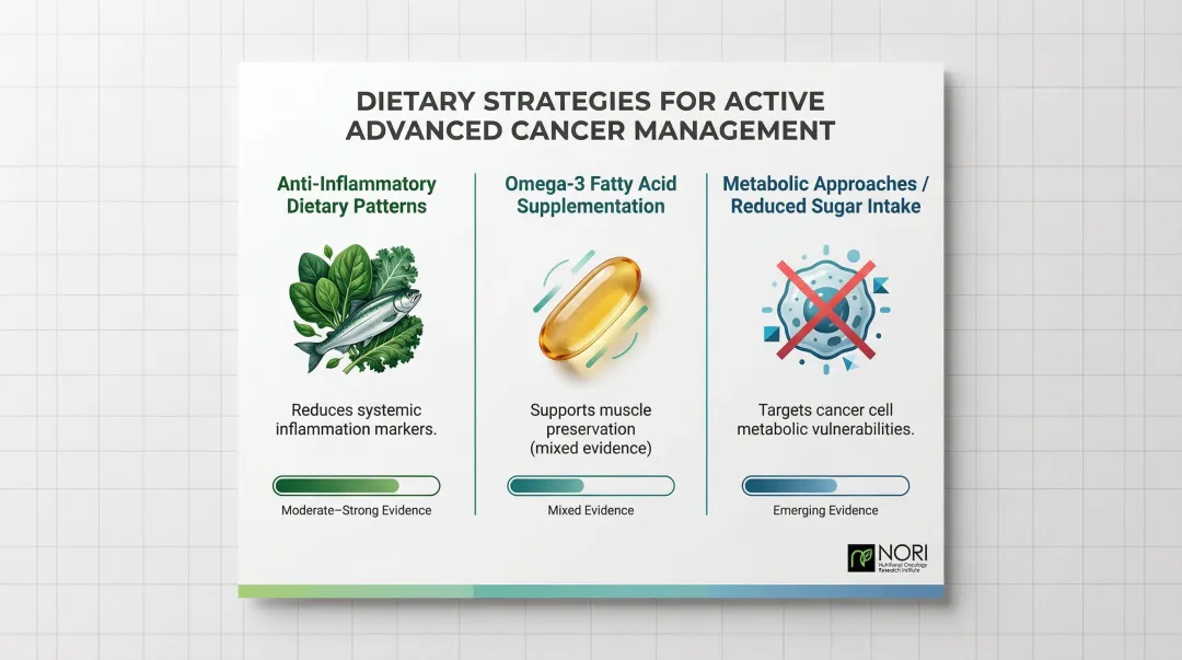 Three active nutritional strategies for advanced cancer patients comparison infographic