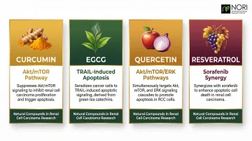 Four natural compounds affecting cellular health pathways in kidney cancer cells comparison chart