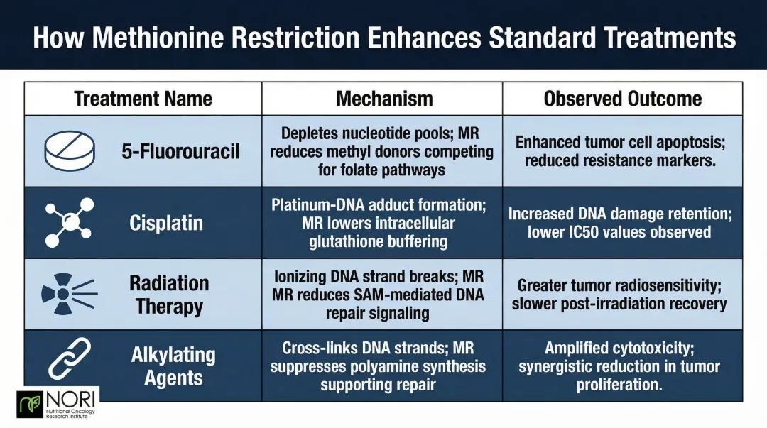 Methionine restriction synergy with chemotherapy and radiation treatment mechanisms comparison table