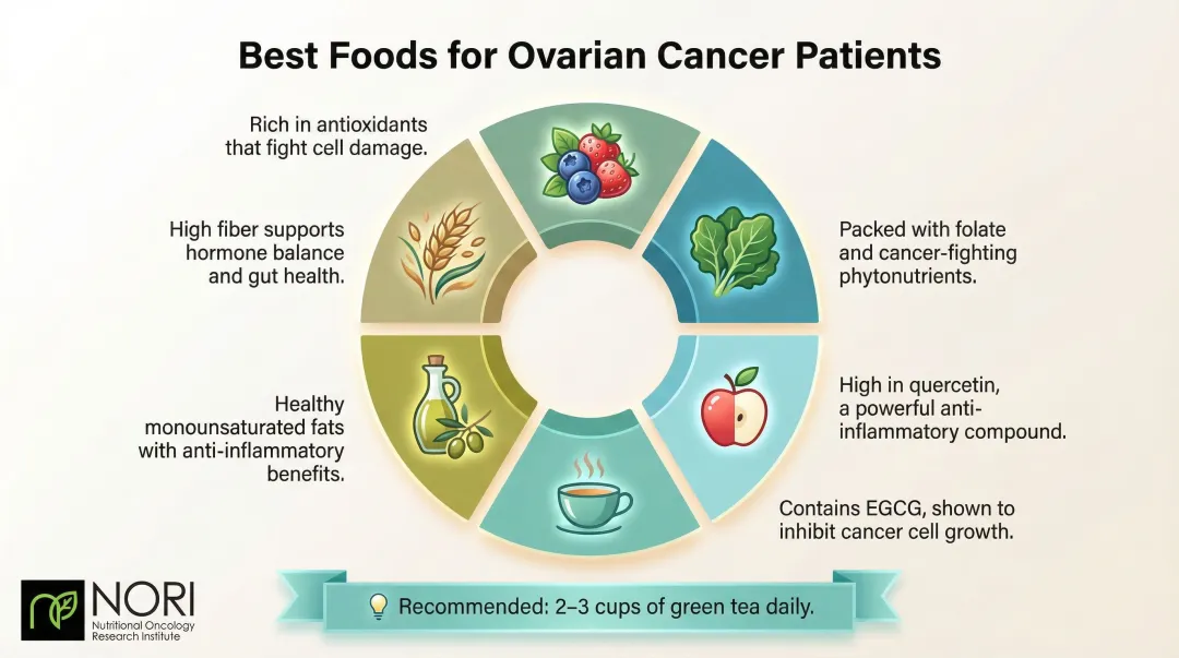 Best anti-inflammatory foods for ovarian cancer patients visual guide