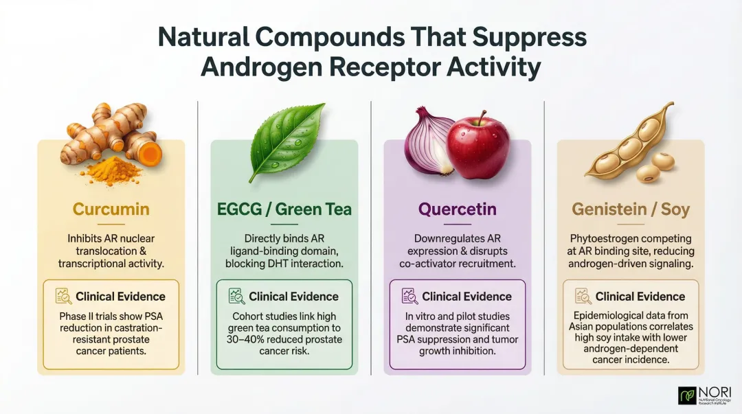 Four phytochemicals targeting androgen receptor signaling mechanisms and clinical evidence comparison
