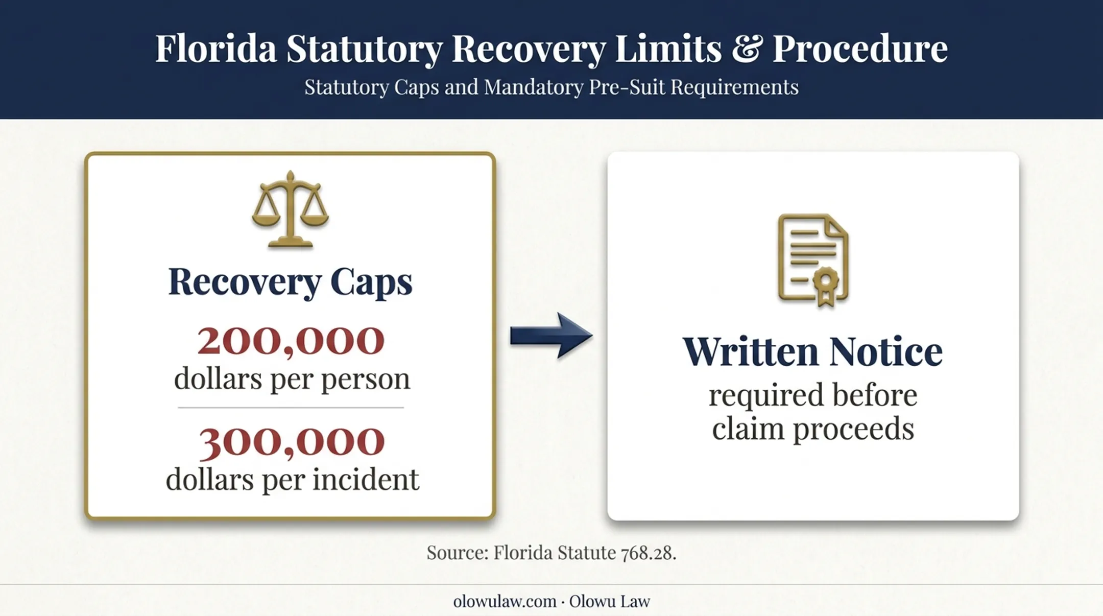 Florida government hospital recovery caps and notice requirement
