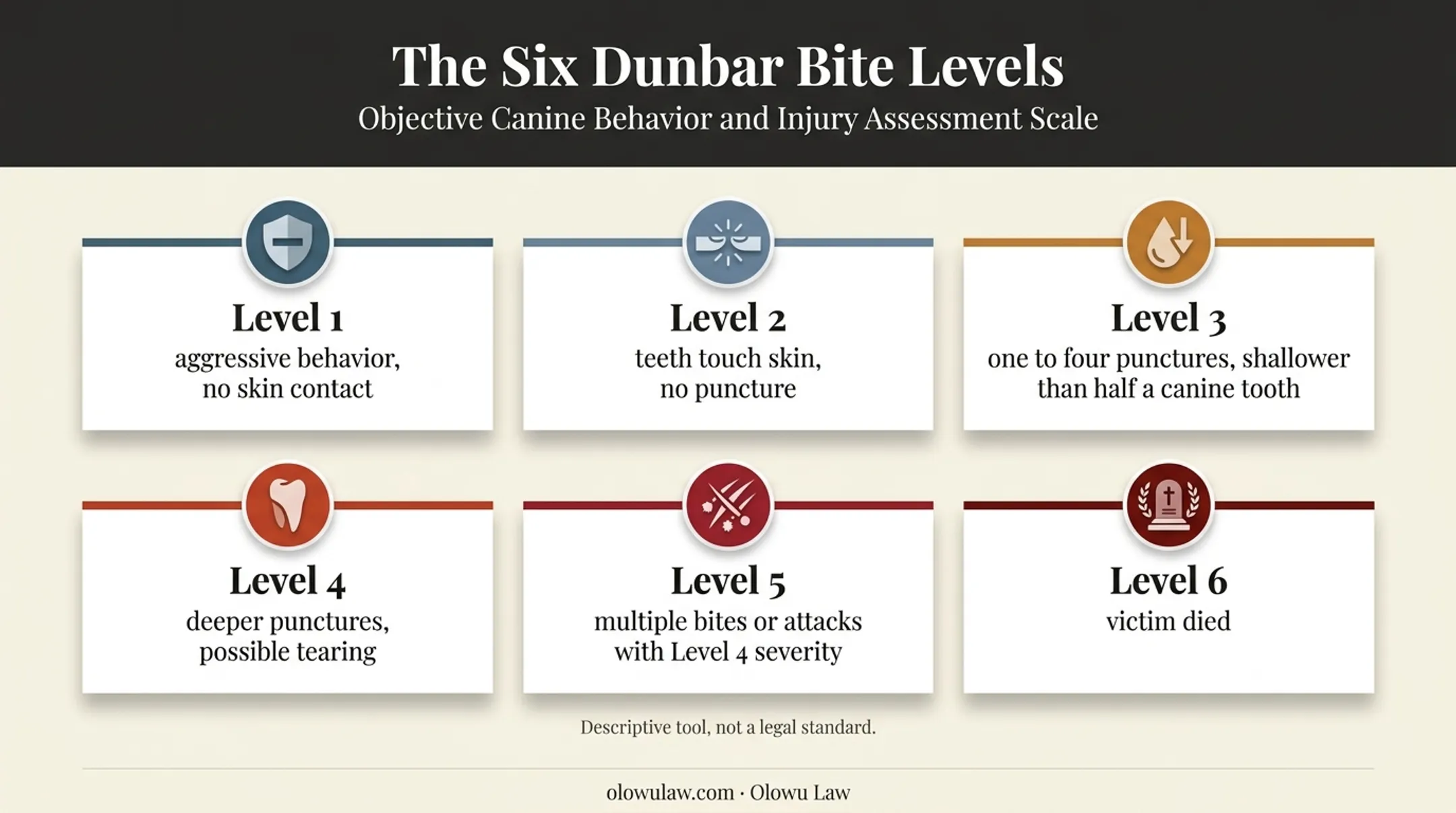 Six-level Dunbar dog bite severity classification scale