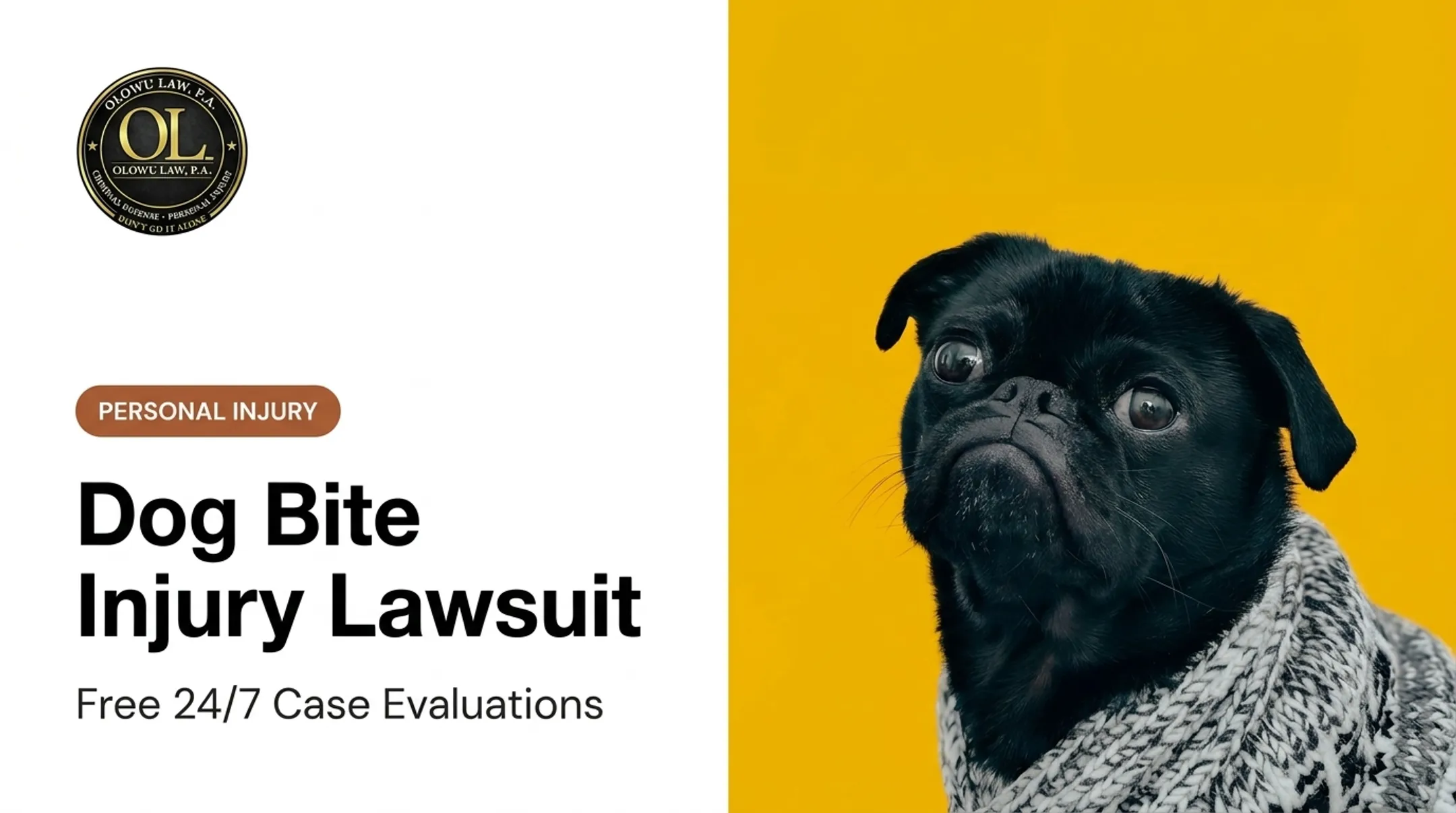 Dog Bite Injury Lawsuit