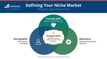 Three niche market dimensions demographic psychographic and behavioral overlap diagram