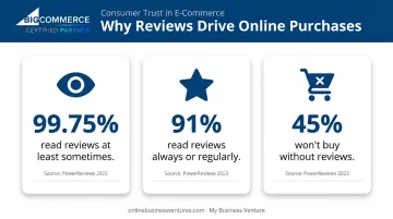 Online shopper review statistics showing purchase decision influence percentages