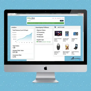 Turnkey dropshipping website dashboard