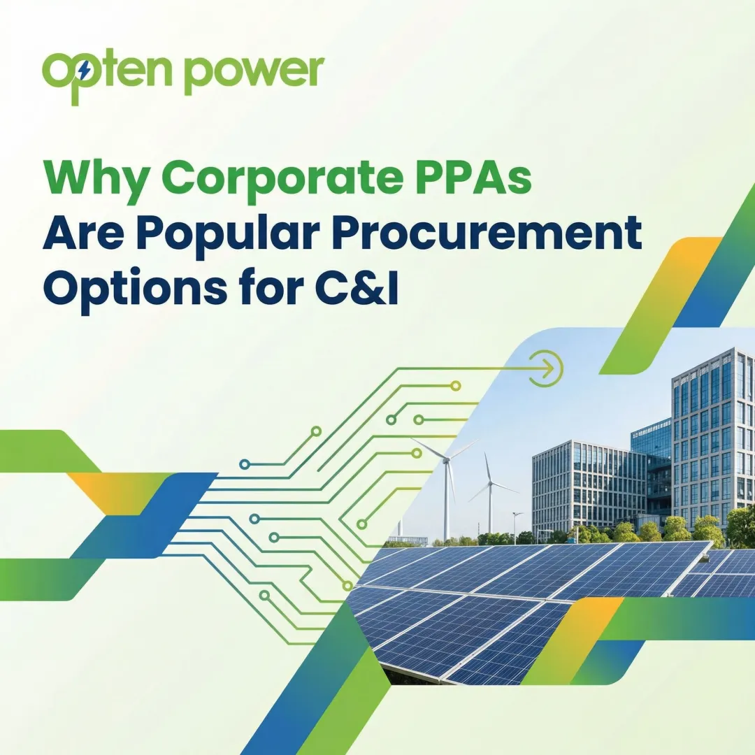 Why Corporate PPAs Are Popular Procurement Options for C&I