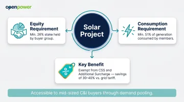 Group Captive solar model structure showing equity stake consumption and cost savings requirements