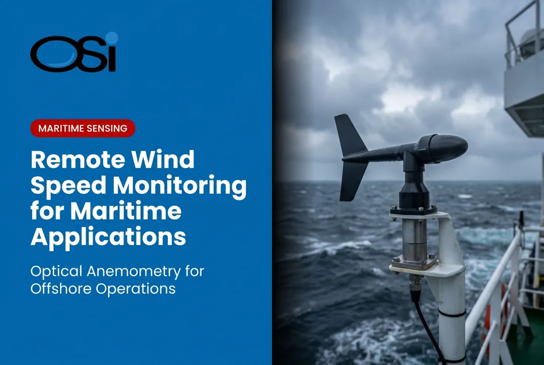 Remote Wind Speed Monitoring for Maritime Applications