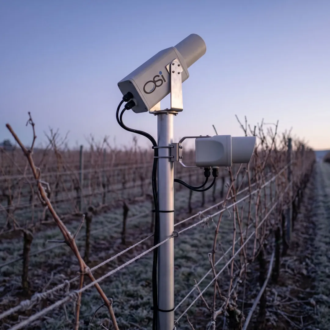 Vineyard Weather Monitoring Systems | Frost Prevention Solutions