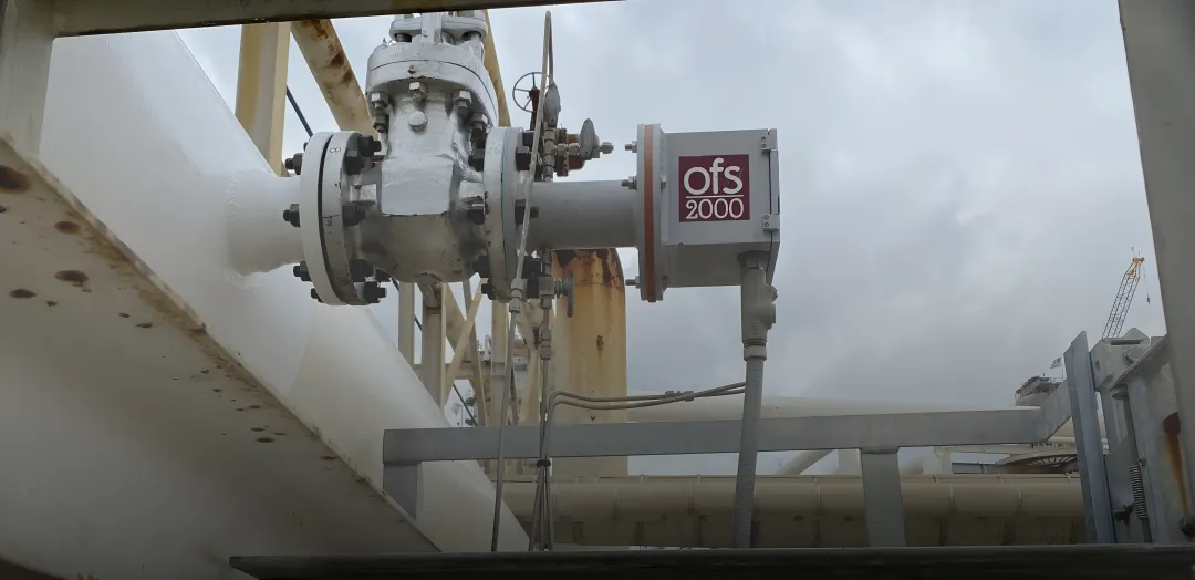 Waste-to-Energy & Chemical Processing