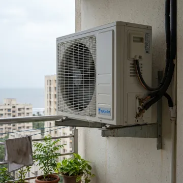 Coastal & Humid Cities