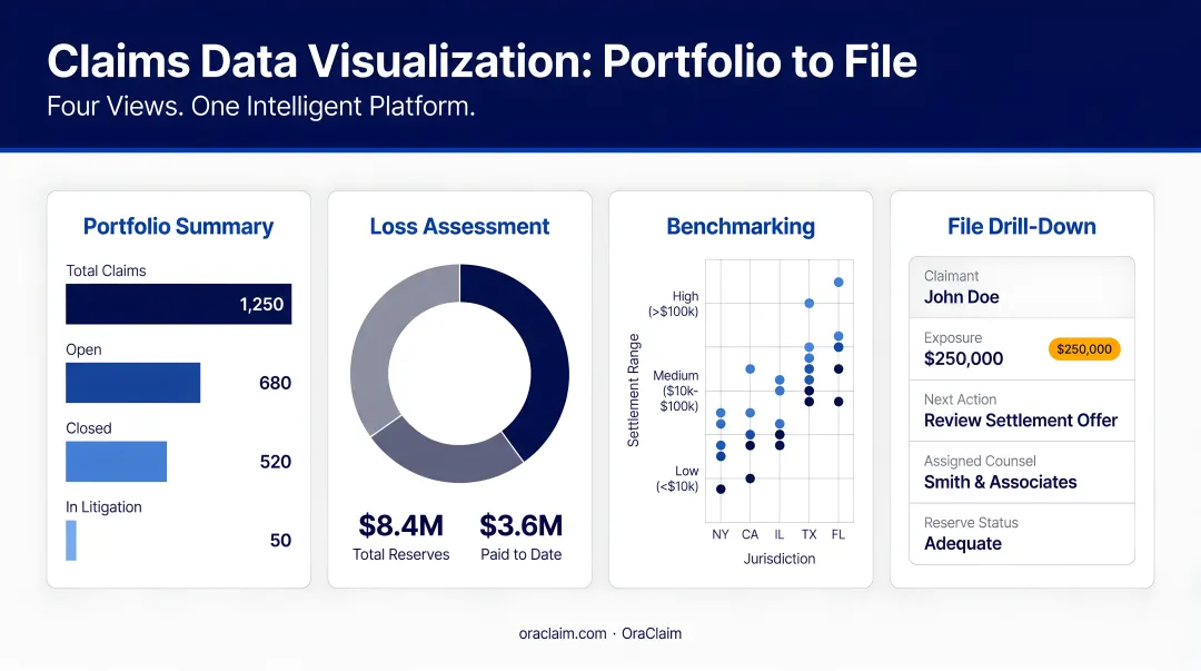 Four claims data visualization types from portfolio summary to individual file drill-down