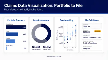 Four claims data visualization types from portfolio summary to individual file drill-down