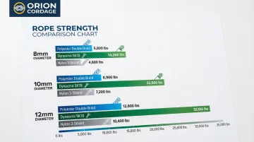 Infographic