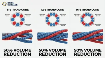 Infographic