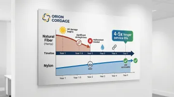 Infographic