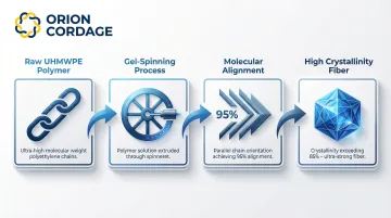 Infographic