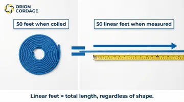 Infographic