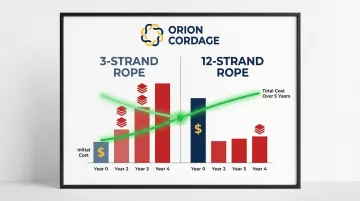 Infographic