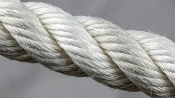 External