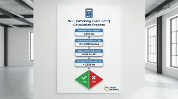 Infographic