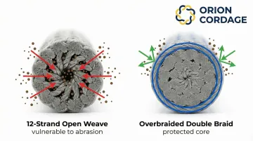 Infographic