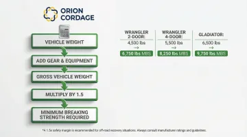 Infographic