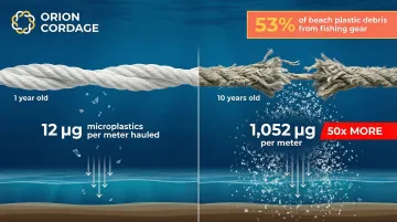 Infographic