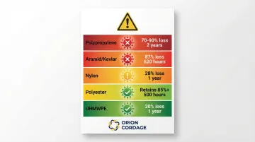 Infographic