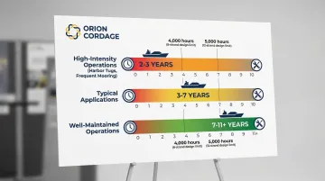 Infographic