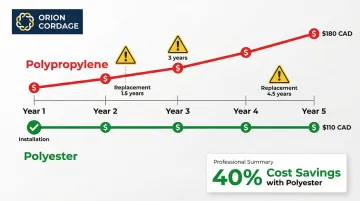 Infographic
