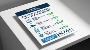 Infographic