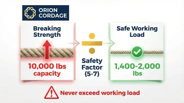 Infographic