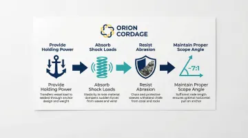 Infographic