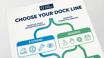 Infographic