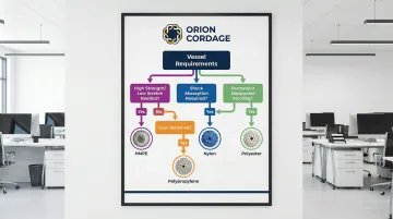 Infographic