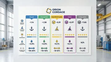 Infographic