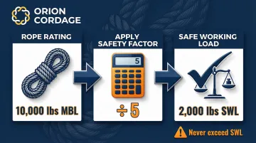 Infographic