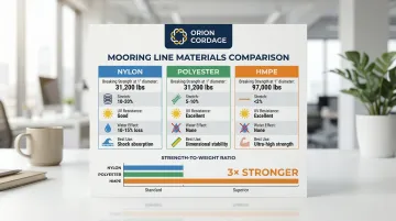 Infographic